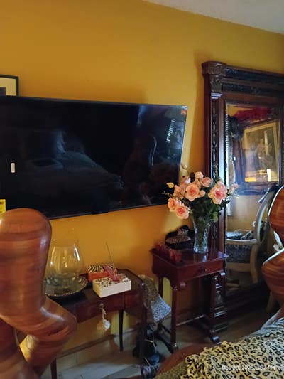 Private Room&Bath Delray Beach Must Love Cats Main Photo