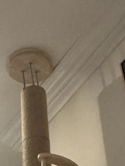 Room wanted in NYC Main Photo