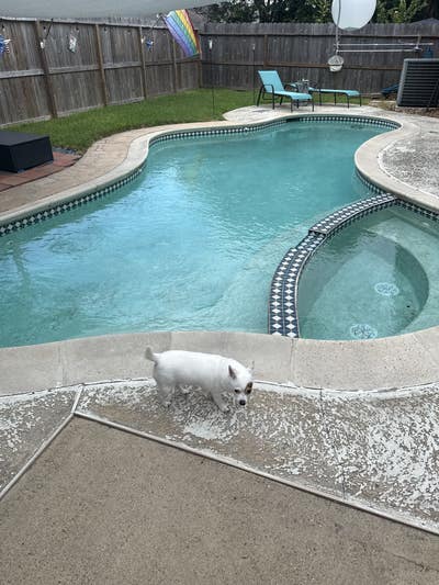 Room for Rent Atascocita area Main Photo