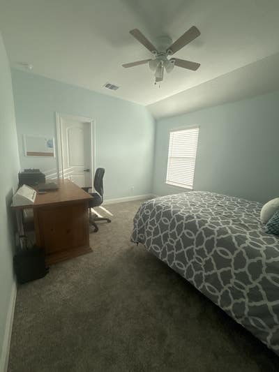 Free room/exchange for help with pickup/drop off Main Photo