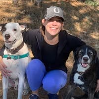 Room wanted in Gilbert, AZ Main Photo