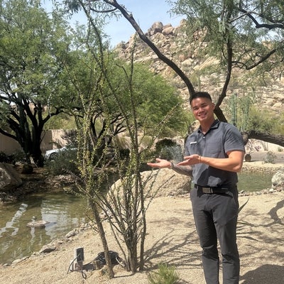 Room wanted in Phoenix, Maricopa County, AZ Main Photo