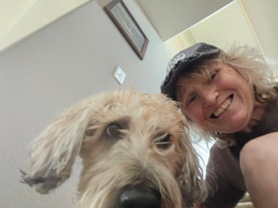 Room wanted in Castle Rock, CO Main Photo