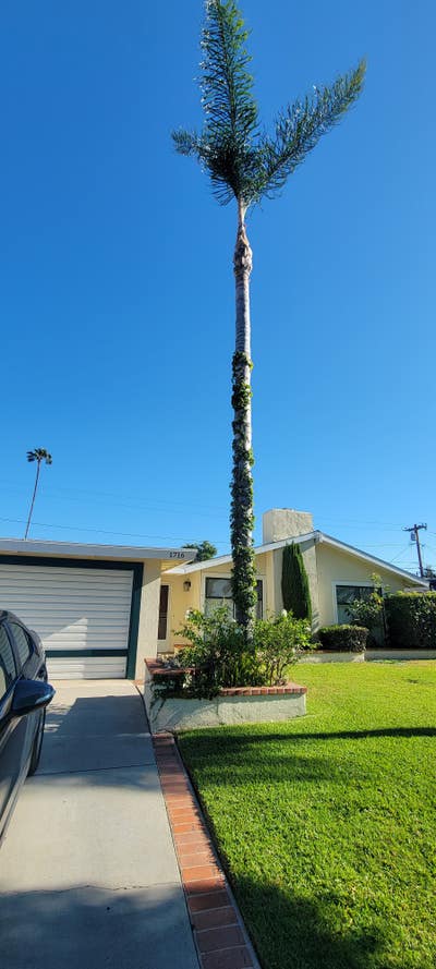 Housemate wanted! Orange, CA Main Photo