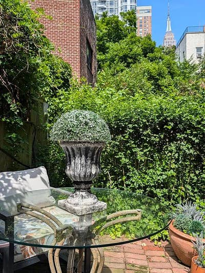 Entire apartment. Nyu / dog owners dream. Main Photo