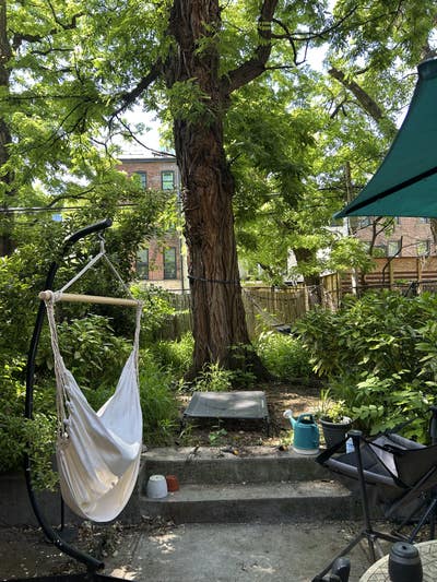 Bedroom available in Crown Heights Main Photo