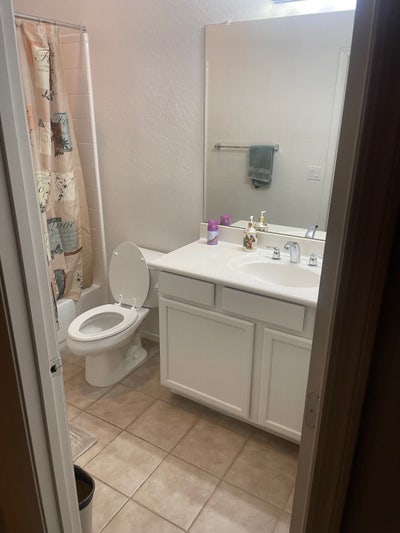 Roommate wanted  Main Photo