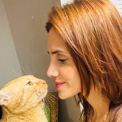 Hi .. I’m looking private room for my and my 2 cat Main Photo