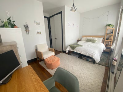 Largest room in our 3 Bed in Clinton Hill/BedStuy Main Photo