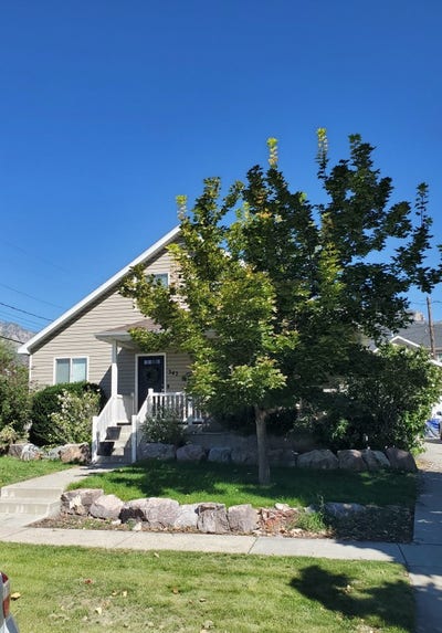 Private Mens Room Available! $month 3Bed2Bath Main Photo