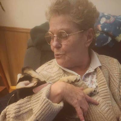 64 year old Female seeks a small or large room Main Photo