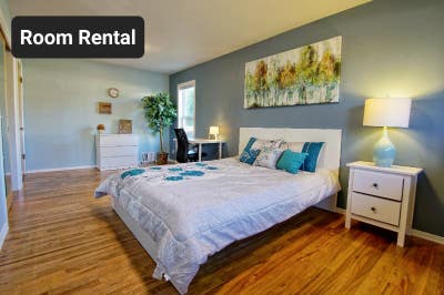 Spacious BR in a clean Ballard house Main Photo