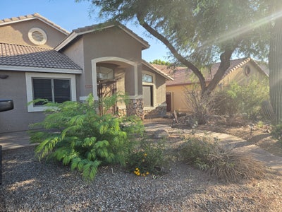 Room and Private bath for rent in Gilbert Main Photo