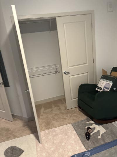 Roommate needed  Main Photo