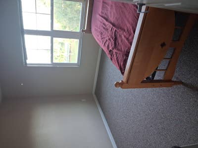 Looking for a roomate in my 2 bed 2 bath (full)  Main Photo
