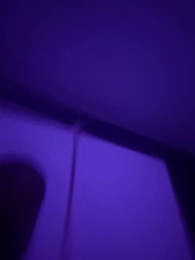 Room wanted in Princeton, TX Main Photo