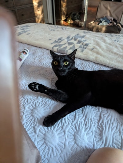 Room wanted Irvine/Tustin/Laguna/Aliso Area Main Photo
