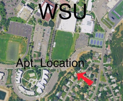Apartment to share next to WSU Main Photo