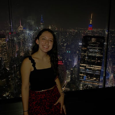Room wanted in Midtown, Manhattan, NY Main Photo