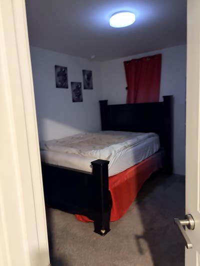 Hardworking roommate wanted Main Photo