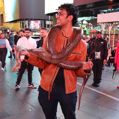 Room wanted in Long Island City, Queens, NY Main Photo