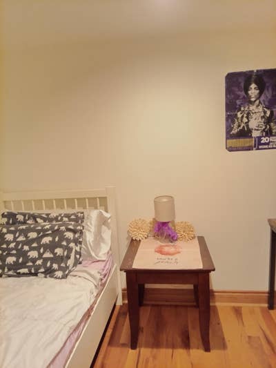 Roommate needed in Rogers Park for 9/1 Main Photo