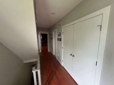 Pet-Loving Professional Wanted: Private Suite Main Photo