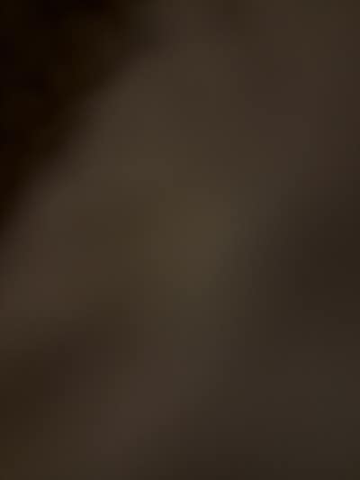 Room wanted in New Jersey Main Photo