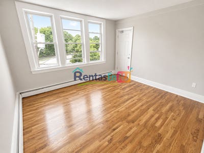 No Broker Fee_Beautiful 1 Bedroom Apartment_Bright Main Photo