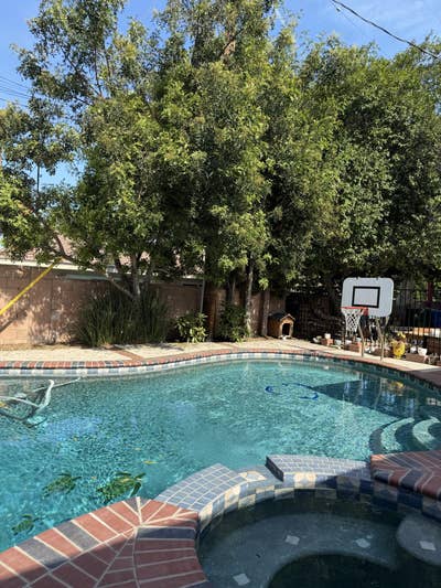 Friendly home w/ room for rent near CSUN Main Photo