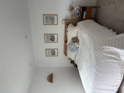 Female Roommate Wanted – Bay Ho (Clairemont) Main Photo