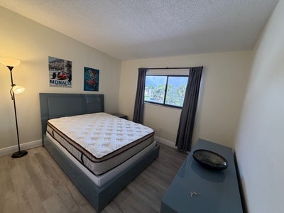 Room for rent Clearwater  Main Photo