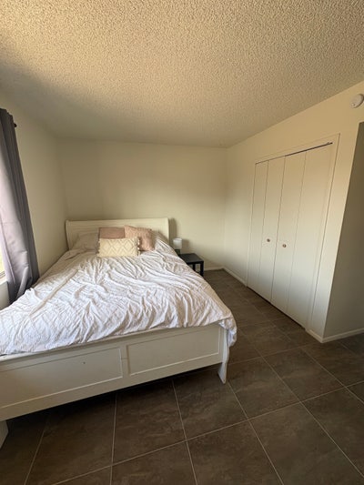 Great location, awesome roomies Main Photo