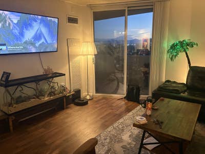 Roommate needed/private room for rent Main Photo