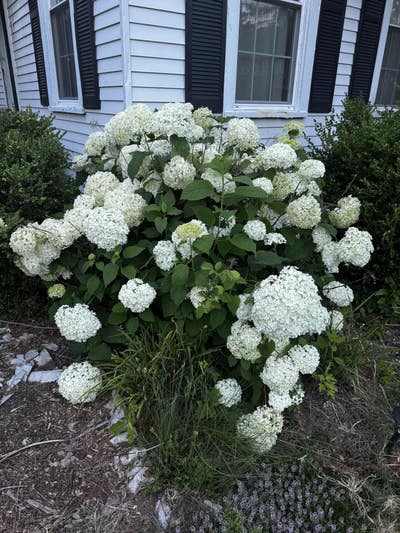 Beautiful North Greenbush home on safe quiet ngbh Main Photo