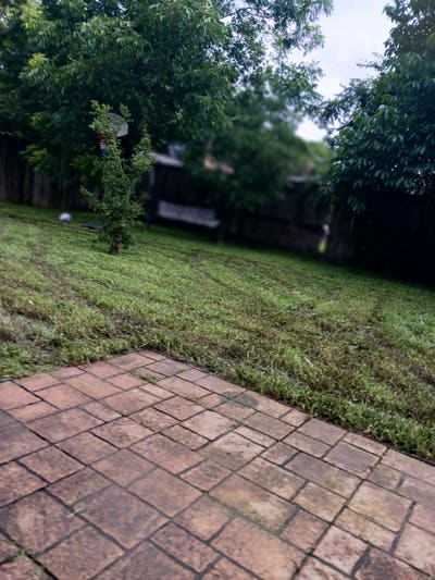 Room wanted in Houston Main Photo