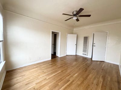 1bed large and bright  Main Photo