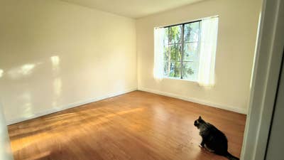 Private Room Available - LGBT Friendly Main Photo