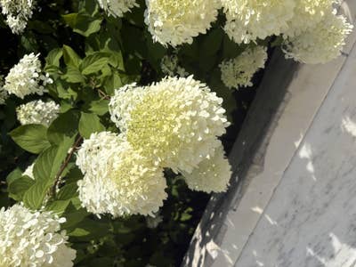 Room wanted in New Jersey Main Photo
