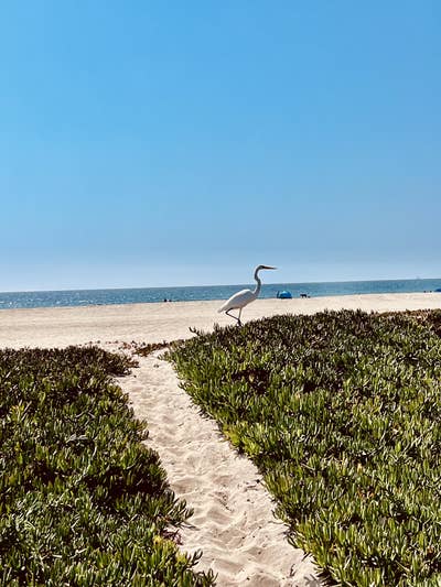 Ocean front bungalow on the sand in Newport Beach  Main Photo