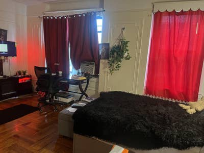 Bright PLG Room - Immediate Sublet thru Sept 1st Main Photo