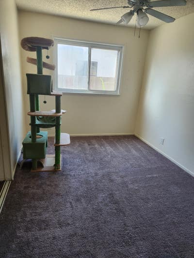 Room Available in Oakley 3/2 house Main Photo
