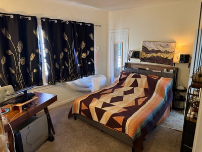 Beautiful Mid-City Room 8/5-9/30, May Extend Main Photo