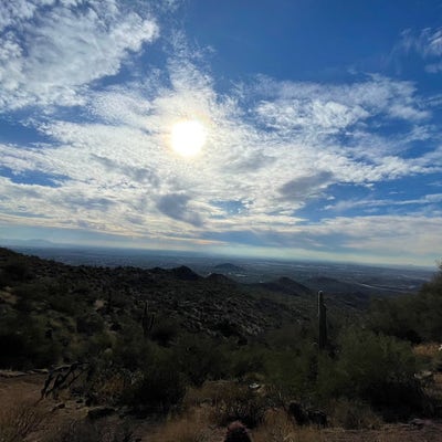 Room wanted in Tempe, AZ Main Photo