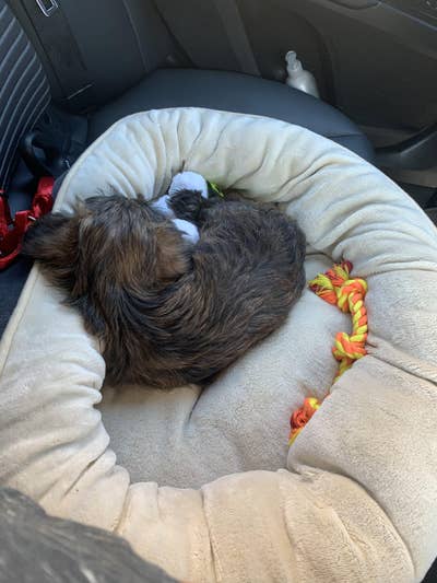 Room wanted in Van Nuys, Los Angeles, CA Main Photo