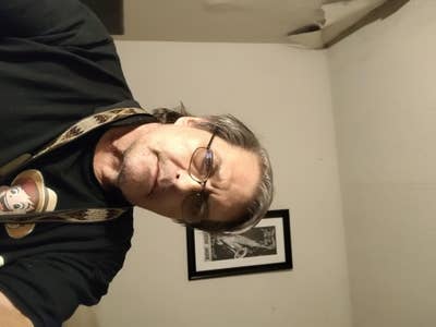 Room wanted in Tampa Main Photo