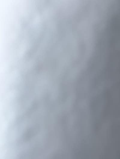 Room wanted in Exchange Place North, NJ Main Photo