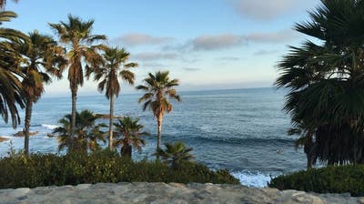 Room wanted in Newport Beach, CA Main Photo