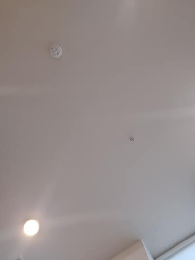 Room wanted in New Jersey Main Photo
