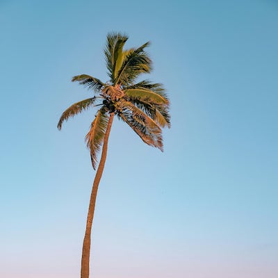 Room wanted in San Diego Main Photo
